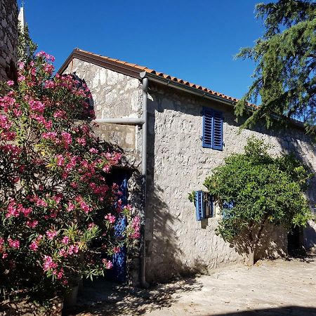 The Istrian Villa Vrsar Exterior photo
