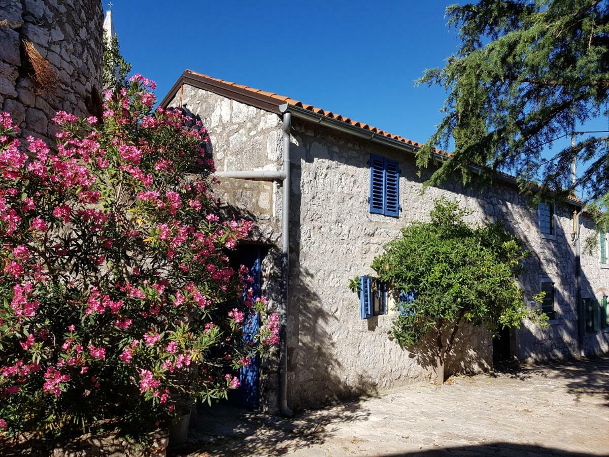 The Istrian Villa Vrsar Exterior photo